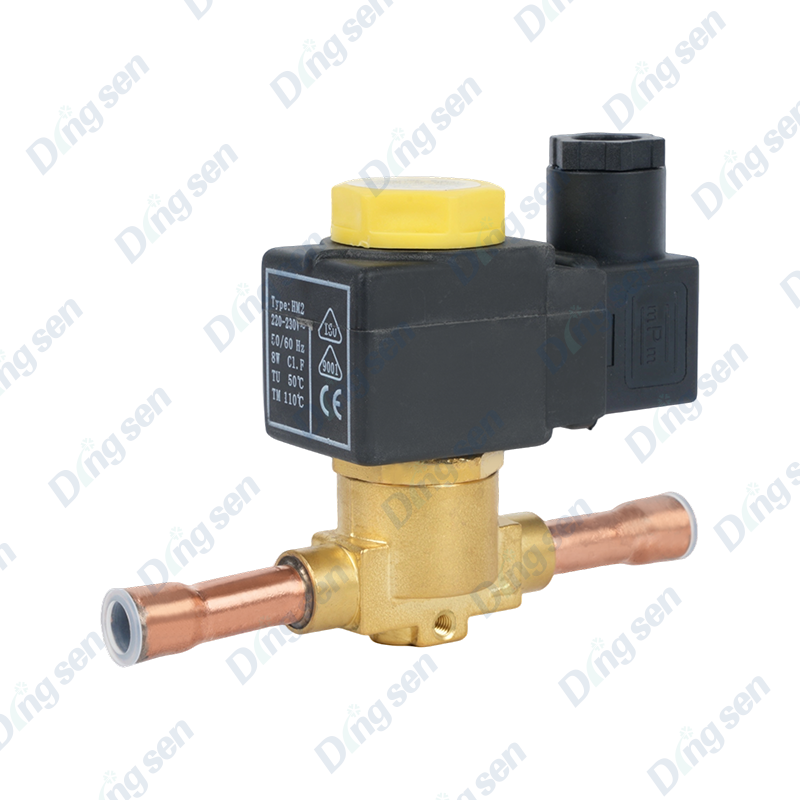 Injap solenoid EVR
