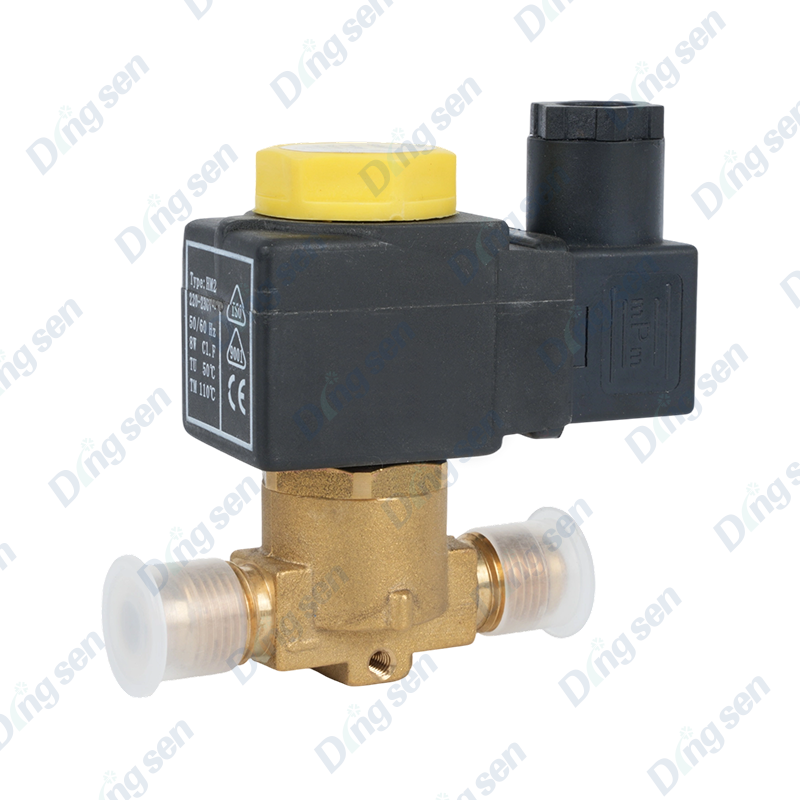 Injap solenoid EVR