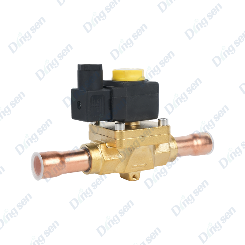 Injap solenoid EVR