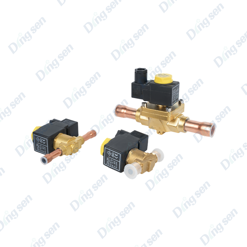Injap solenoid EVR